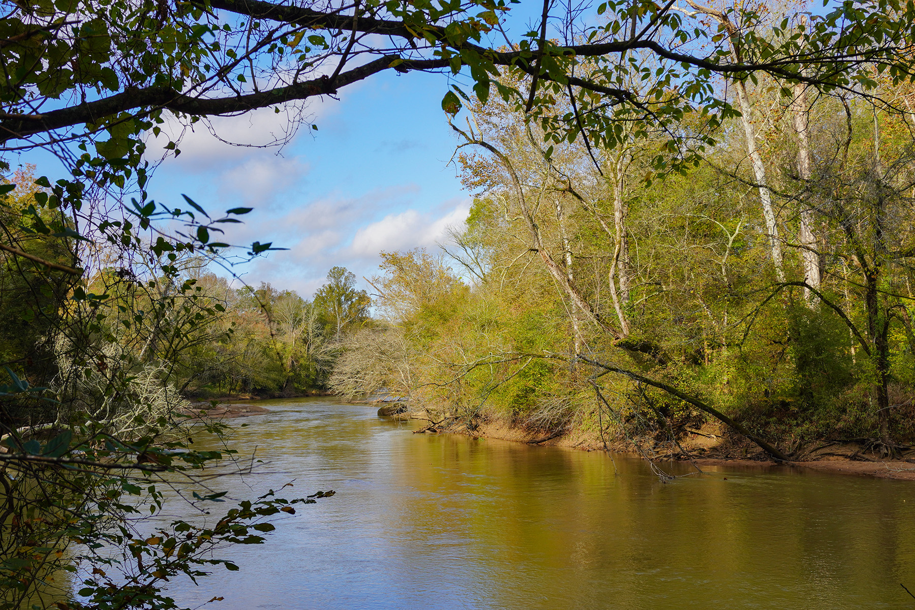 The image depicts a serene river scene with trees and foliage, under a blue sky with some clouds, during daylight hours.